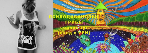 круглые Алзамай