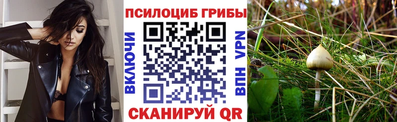 Галлюциногенные грибы Psilocybine cubensis  хочу   Урюпинск 